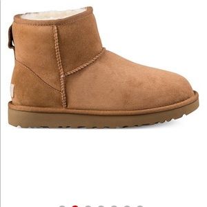 🖤EUC Short Uggs-GREY women’s